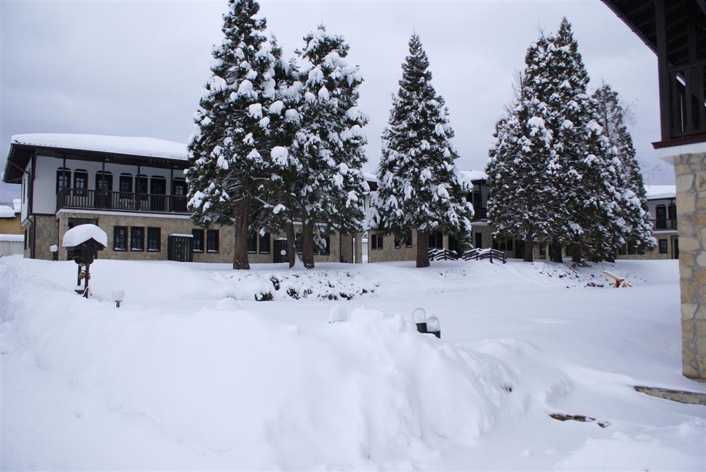 Къщи За Гости Кедър Dolna Banya Exterior photo