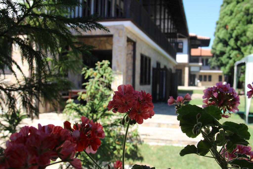 Къщи За Гости Кедър Dolna Banya Exterior photo